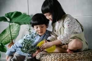 Organic garden remedies